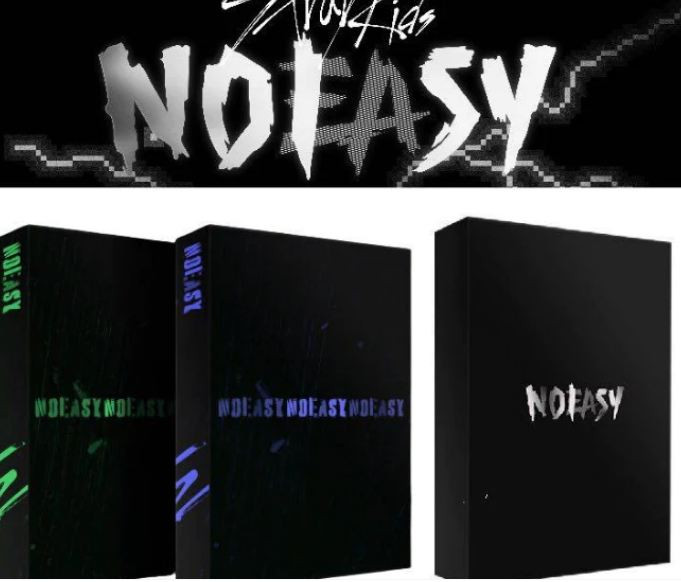 Cheap Stray Kids - the 2nd Full Album [NOEASY] Standard ver.